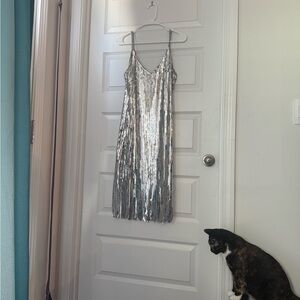 Silver Sequin Dress